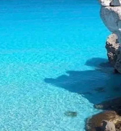 Il Fico, Isola D'elba, Piscina E Aria Condizionata * 里约滨海