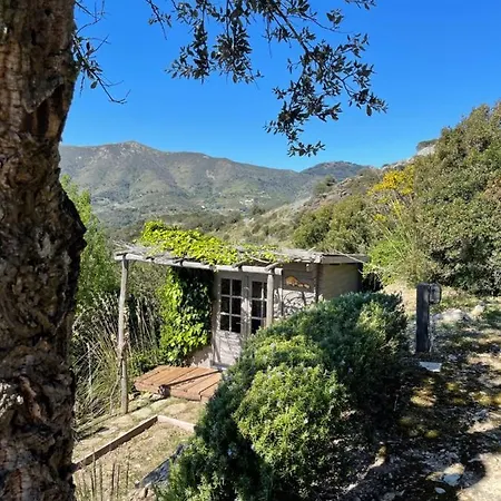 别墅 Il Fico, Isola D'elba, Piscina E Aria Condizionata