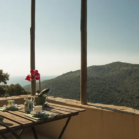 Il Fico, Isola D'elba, Piscina E Aria Condizionata 里约滨海